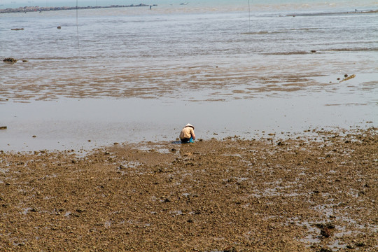 钦州三娘湾国际海豚公园海滨风光