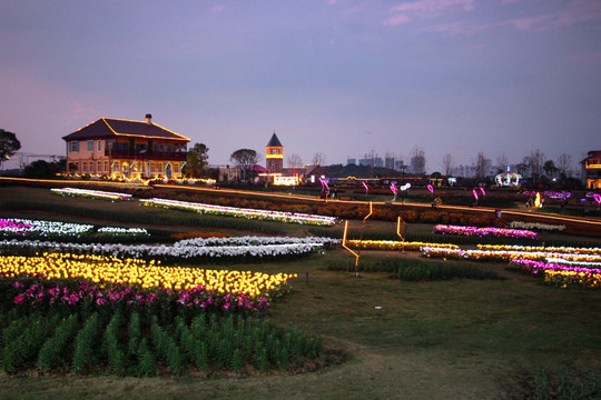 花博汇夜景一角