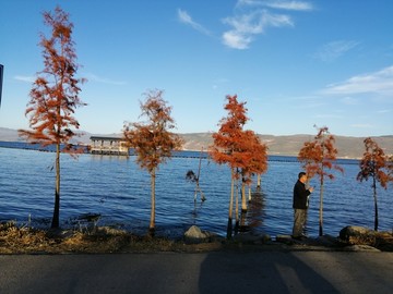 洱海边的风景