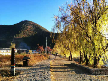 秋天的风景