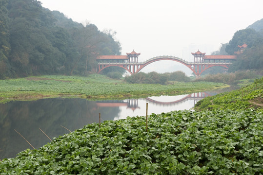 四川乐山乌尤寺的桥