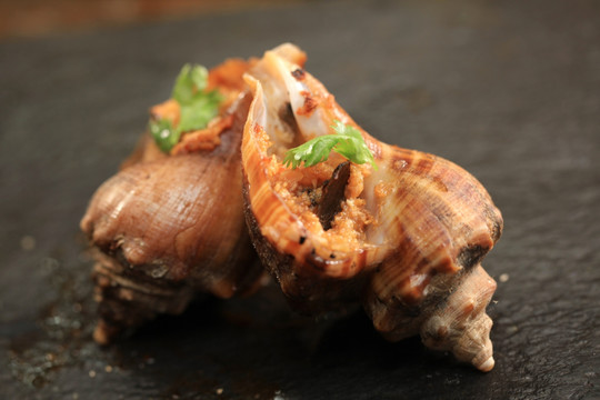 烤海螺