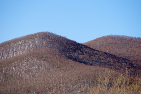 山