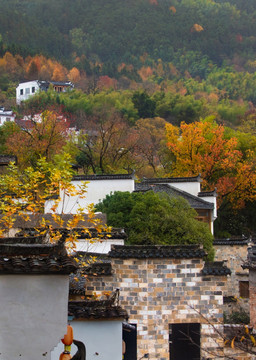 黟县塔川