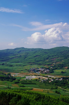 蓝天白云山坡绿林