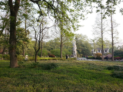 小树林