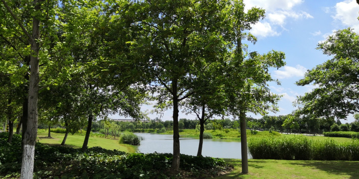 无锡贡湖湾湿地公园风景