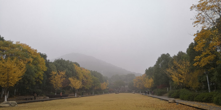 大雾下的惠山公园