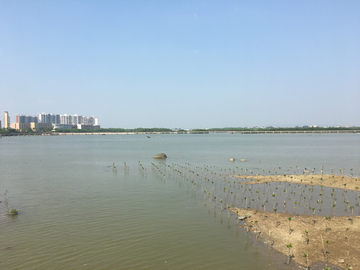 电白海岸