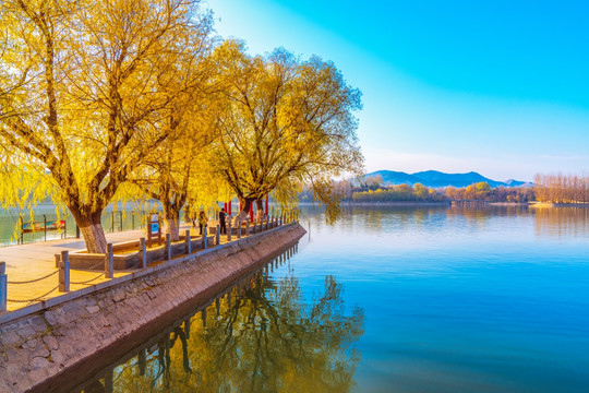 青州南阳湖风景