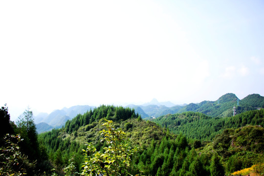 梅花山