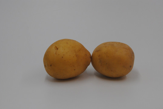 土豆