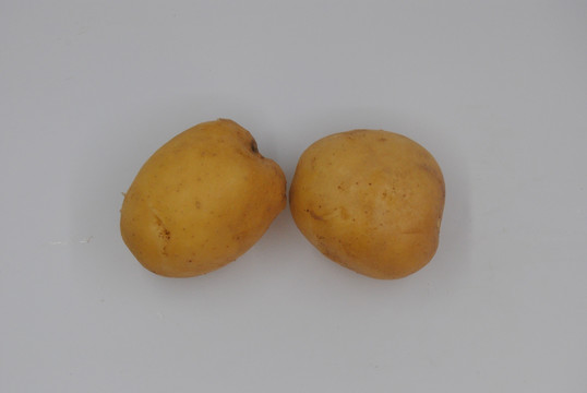 土豆