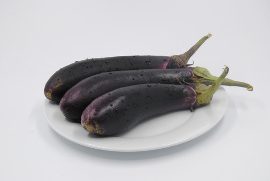 紫茄子