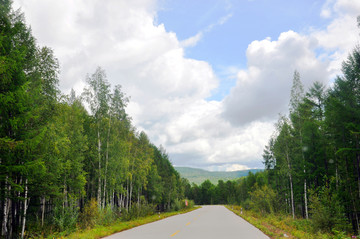 森林公路