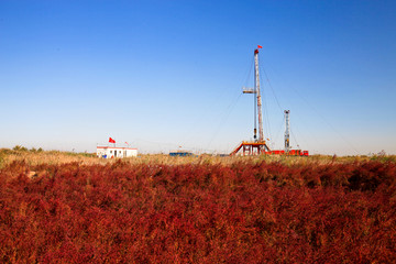 红海滩石油钻机