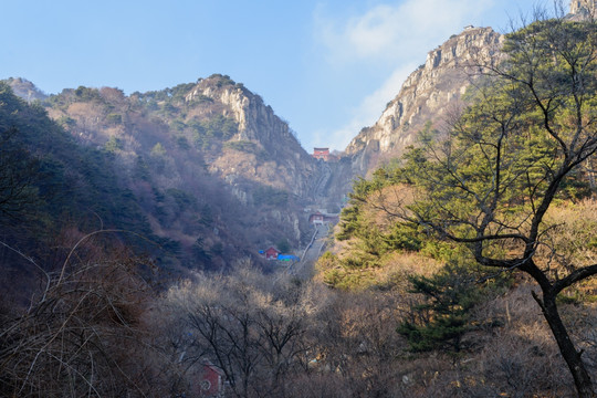 泰山