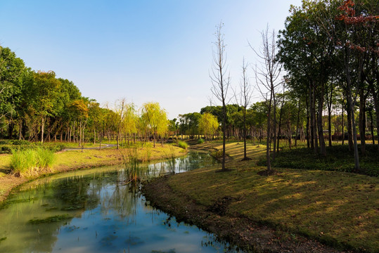 河流自然风景