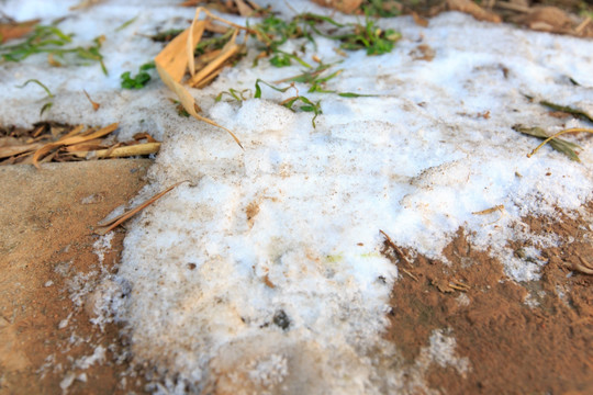 陕西西安积雪