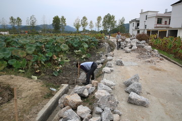 新农村建设者