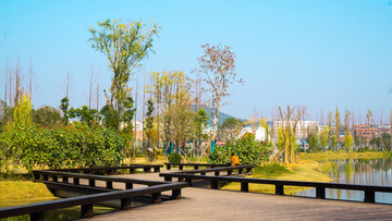 后湖公园风光