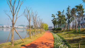 后湖公园风景