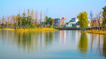 后湖公园风景