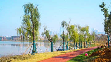 后湖公园风景