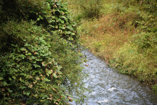 山溪水