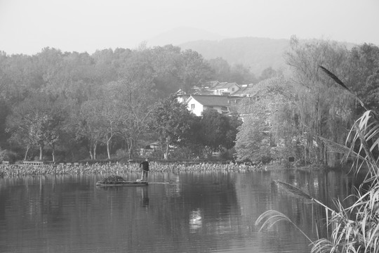 江南水乡风景