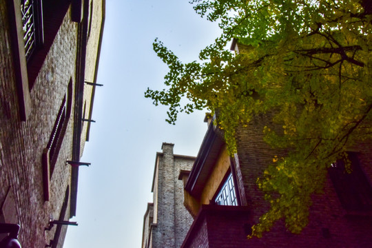 石库门
