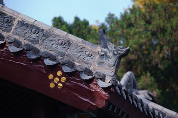 屋檐