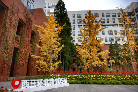 首都师范大学