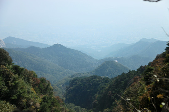 泰山风光