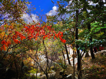 青岛崂山风光