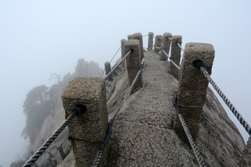 黄山鲫鱼背