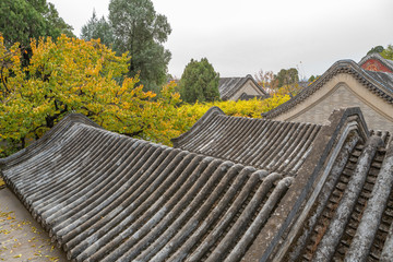 中式庭院屋顶特写