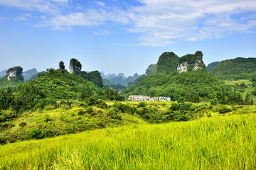 高山草地