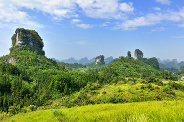 高山草地