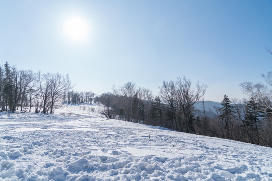 林海雪原