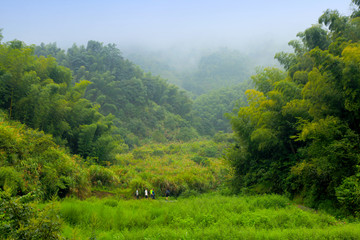 竹山