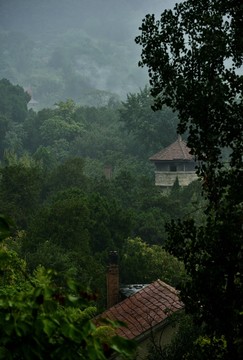 雨中山里的风景