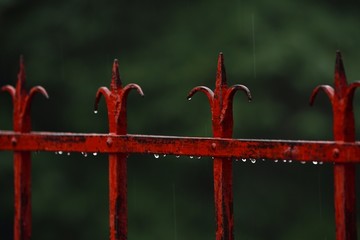 雨中的红栅栏