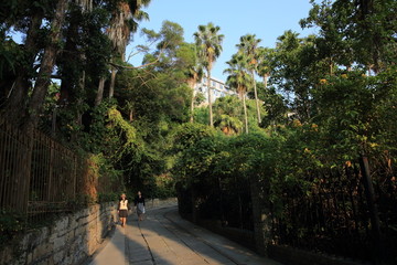 鼓浪屿