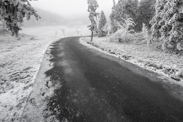 被大雪覆盖的道路