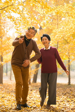 在银杏林散步的老年夫妻