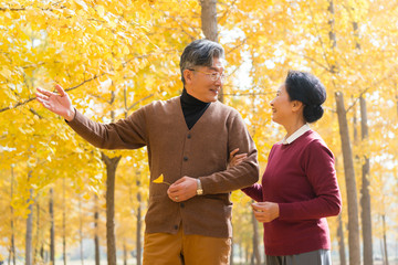 在银杏林散步的老年夫妻