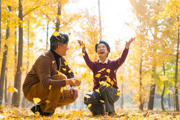 在银杏林散步的老年夫妻