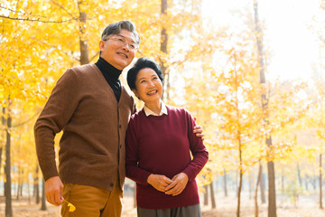 在银杏林散步的老年夫妻