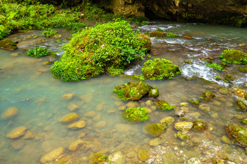 深山中的溪流水池